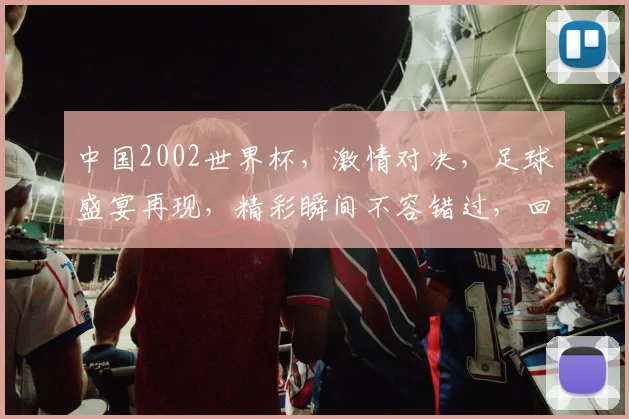 中国2002世界杯，激情对决，足球盛宴再现，精彩瞬间不容错过，回味无穷