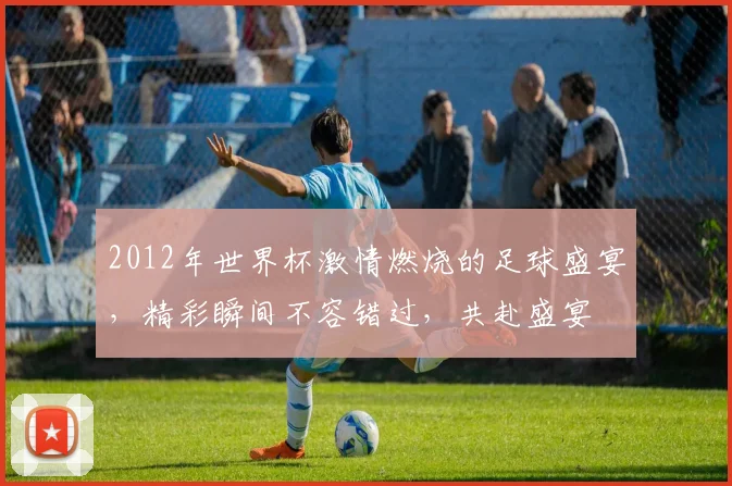 2012年世界杯激情燃烧的足球盛宴，精彩瞬间不容错过，共赴盛宴