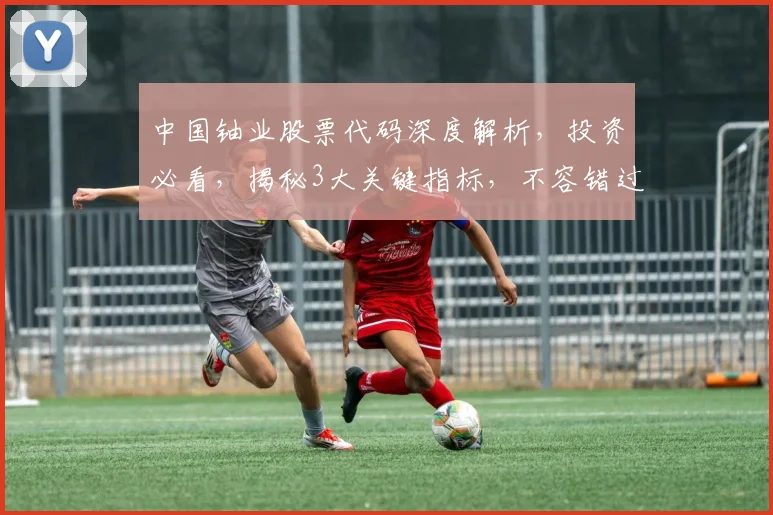 中国铀业股票代码深度解析，投资必看，揭秘3大关键指标，不容错过