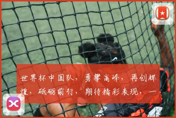 世界杯中国队，勇攀高峰，再创辉煌，砥砺前行，期待精彩表现，一展风采